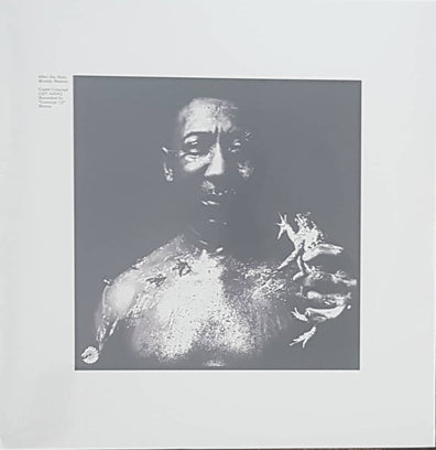 Muddy Waters - After The Rain